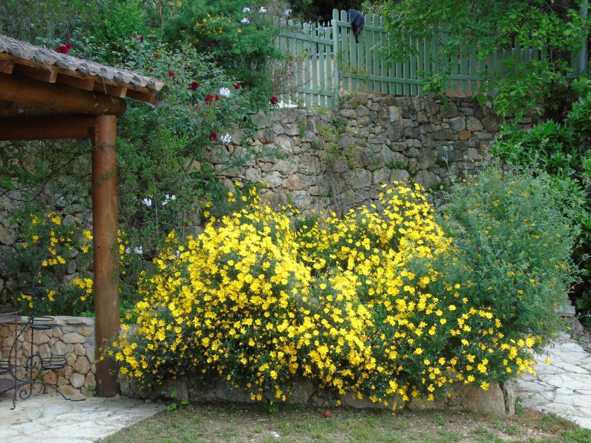 Mas Des Citronniers Bed and Breakfast Le Tignet Buitenkant foto